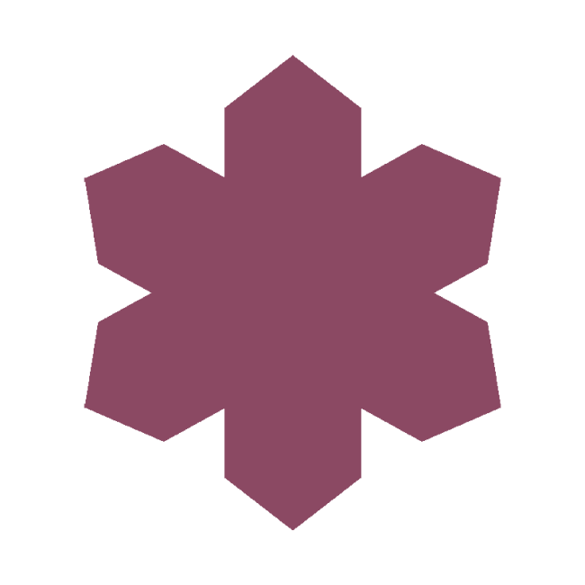 WINTER SNOWFLAKE 2026 (LTD. ED.)