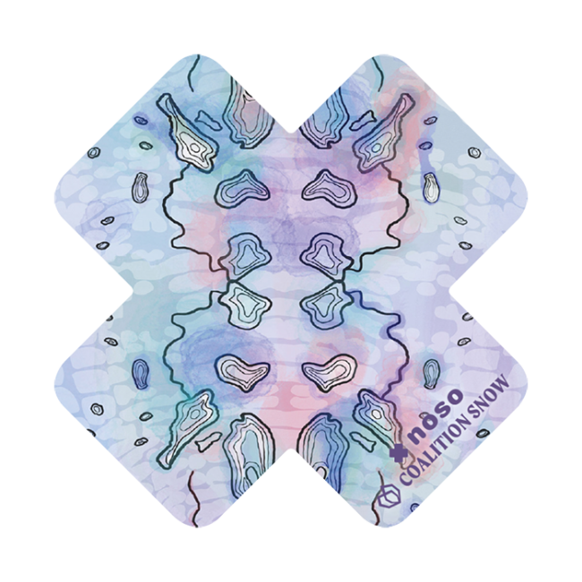 BETTER LAKE THAN NEVER X By Coalition Snow x NoSo