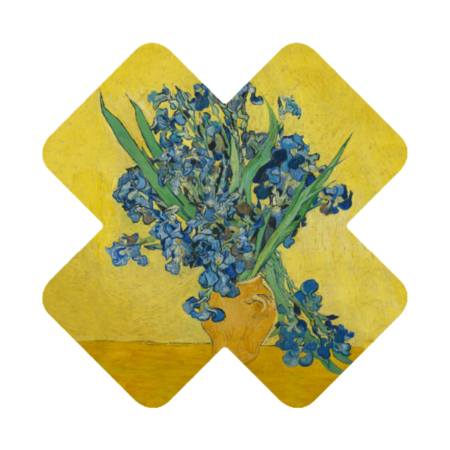 VAN GOGH IRISES